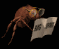 bug_report_sb.gif