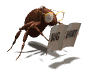 bug_report_mw.gif