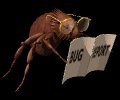bug_report_lb.gif