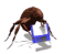 bug_munch_sw.gif