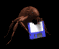 bug_munch_sb.gif