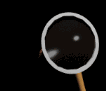 bug_glass_mb.gif