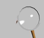 bug_glass_lgry.gif