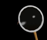bug_glass_lb.gif