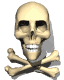 skull_crossbones_sw.gif