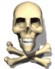 skull_crossbones_mw.gif