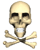 skull_crossbones_mc.gif