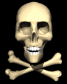 skull_crossbones_lb.gif
