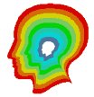 cat_scan_of_brain_lw.gif