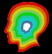cat_scan_of_brain_lc.gif