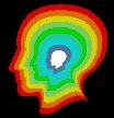 cat_scan_of_brain_lb.gif