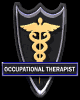 occupationaltherapist_mb.gif