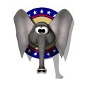 elephant_flappingears_mw.gif
