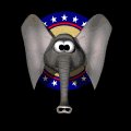elephant_flappingears_mb.gif