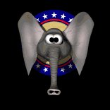 elephant_flappingears_lb.gif