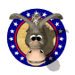 donkey_smile_sw.gif