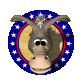 donkey_smile_sc.gif