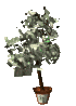 money_tree_sc.gif