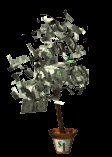 money_tree_lc.gif