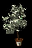 money_tree_lb.gif