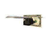 money_flies_mw.gif