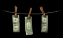 hung_money_sb.gif