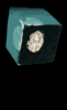 frozen_coindrip_mb.gif