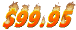 9995_mc.gif