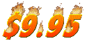 995_mc.gif