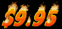 995_mb.gif