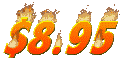 895_mc.gif