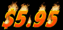595_mb.gif