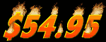 5495_mb.gif