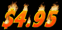495_mb.gif