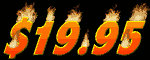 1995_mb.gif