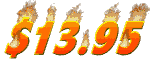 1395_mw.gif