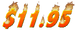 1195_mc.gif