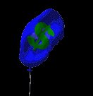 inflation_baloon_lc.gif