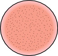 G0708421.WMF