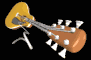 cartoon_acoustic_guib_sb.gif