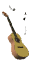 acousticnotes_sw.gif