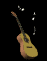 acousticnotes_sb.gif