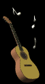 acousticnotes_mb.gif