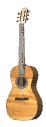 acoustic_guitar_rotate_mw.gif