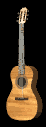 acoustic_guitar_rotate_mb.gif