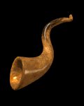shofar_music_biblicab_mc.gif