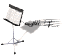 music_stand_notes_fly_a_tw.gif