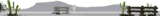 tumbleweed_divider_tw.gif