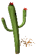 flowering_cactus_mc.gif