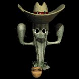 cactus_spitune_lb.gif